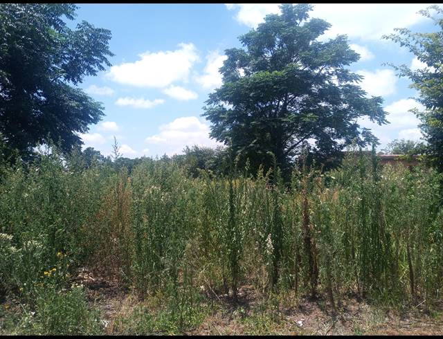 1,044M² VACANT LAND FOR SALE IN KOOKRUS